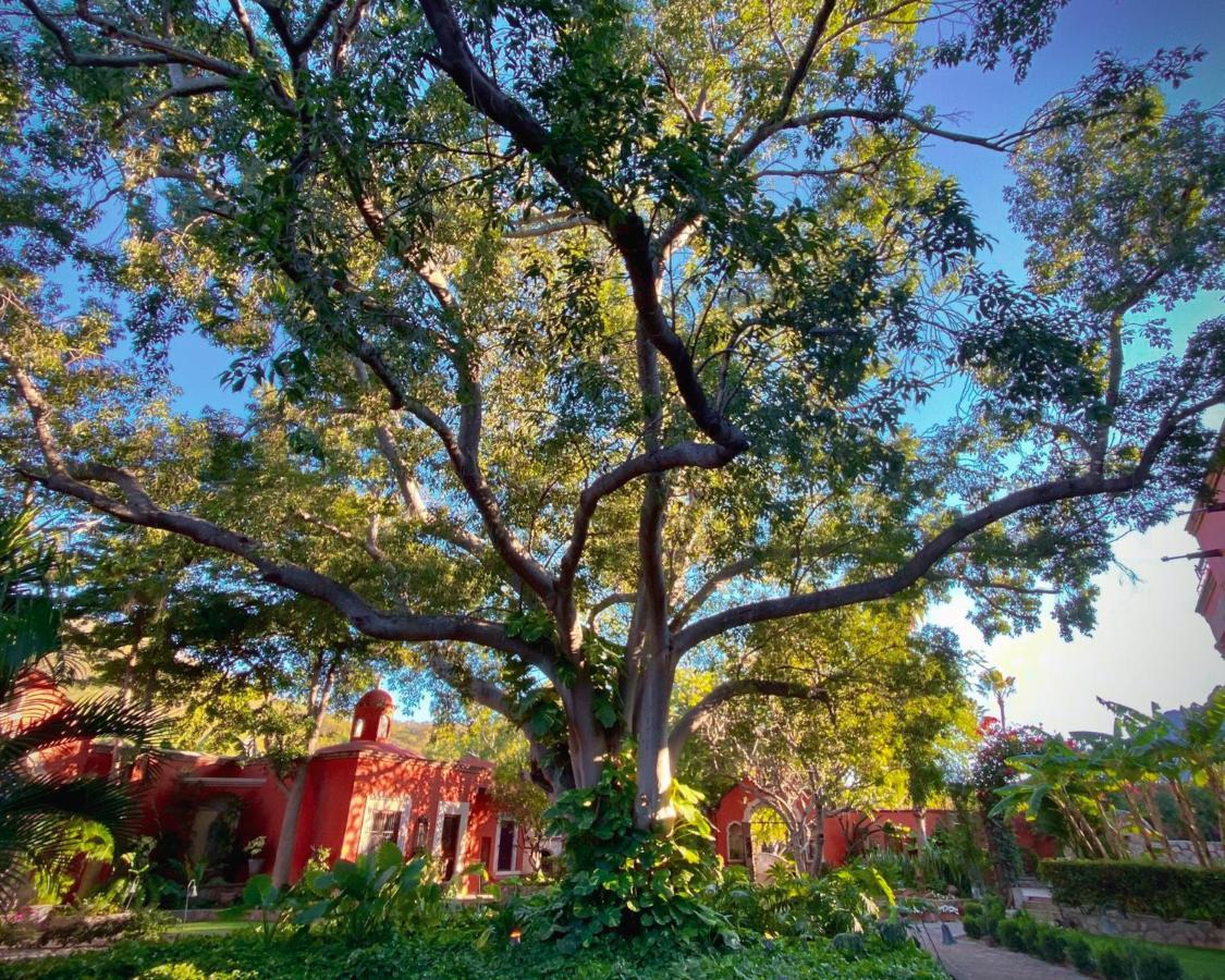 Hacienda De Los Santos Álamos Екстериор снимка