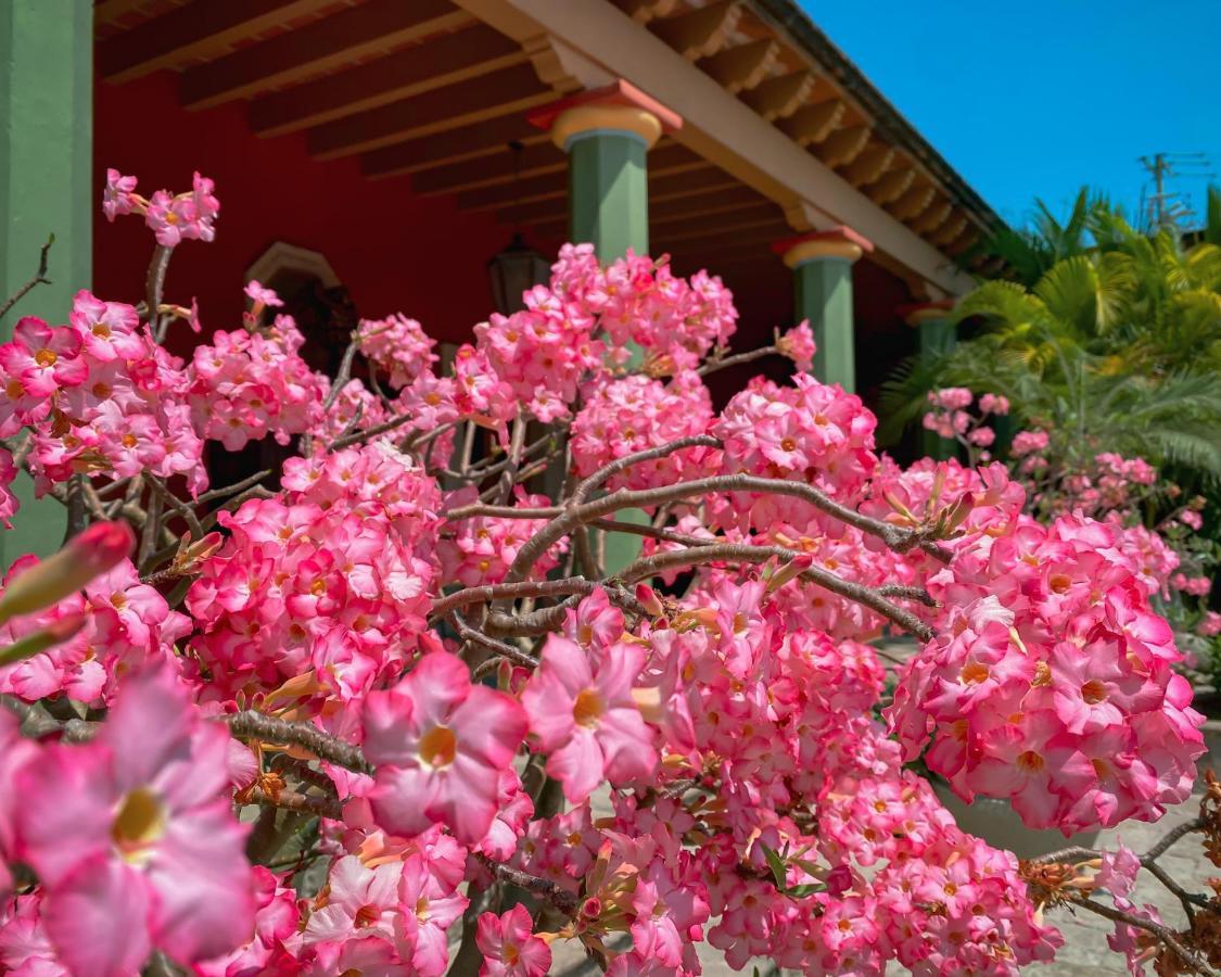Hacienda De Los Santos Álamos Екстериор снимка